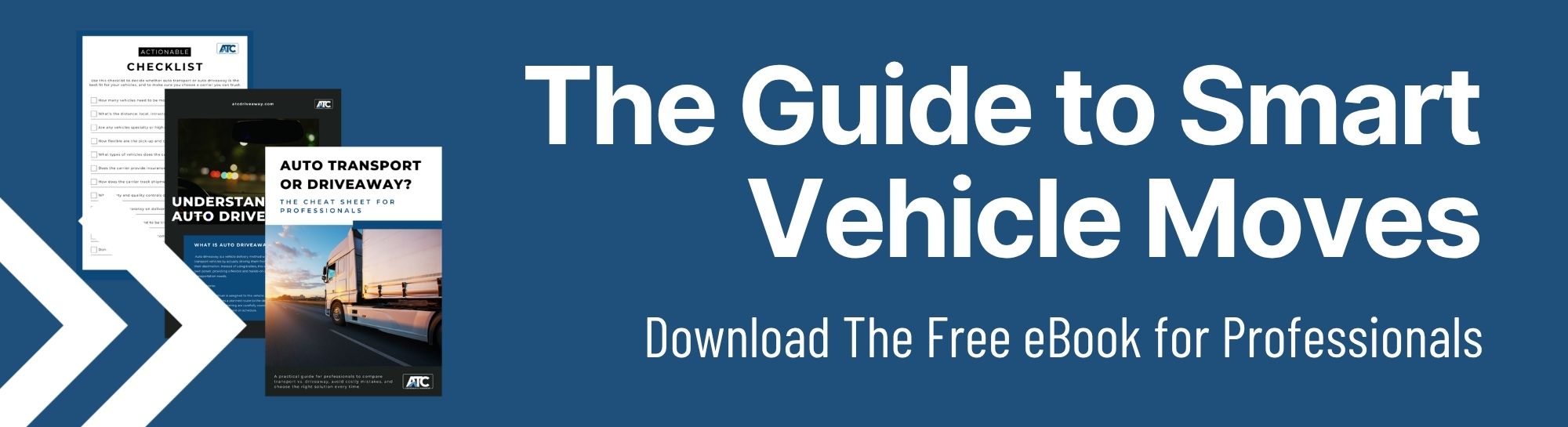 Auto Transport or Driveaway ebook