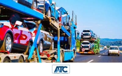 Automobile Transport Services: What Businesses Should Look for in a Transportation Partner